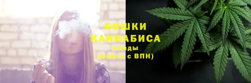 Канабис SATIVA & INDICA  Никольское 